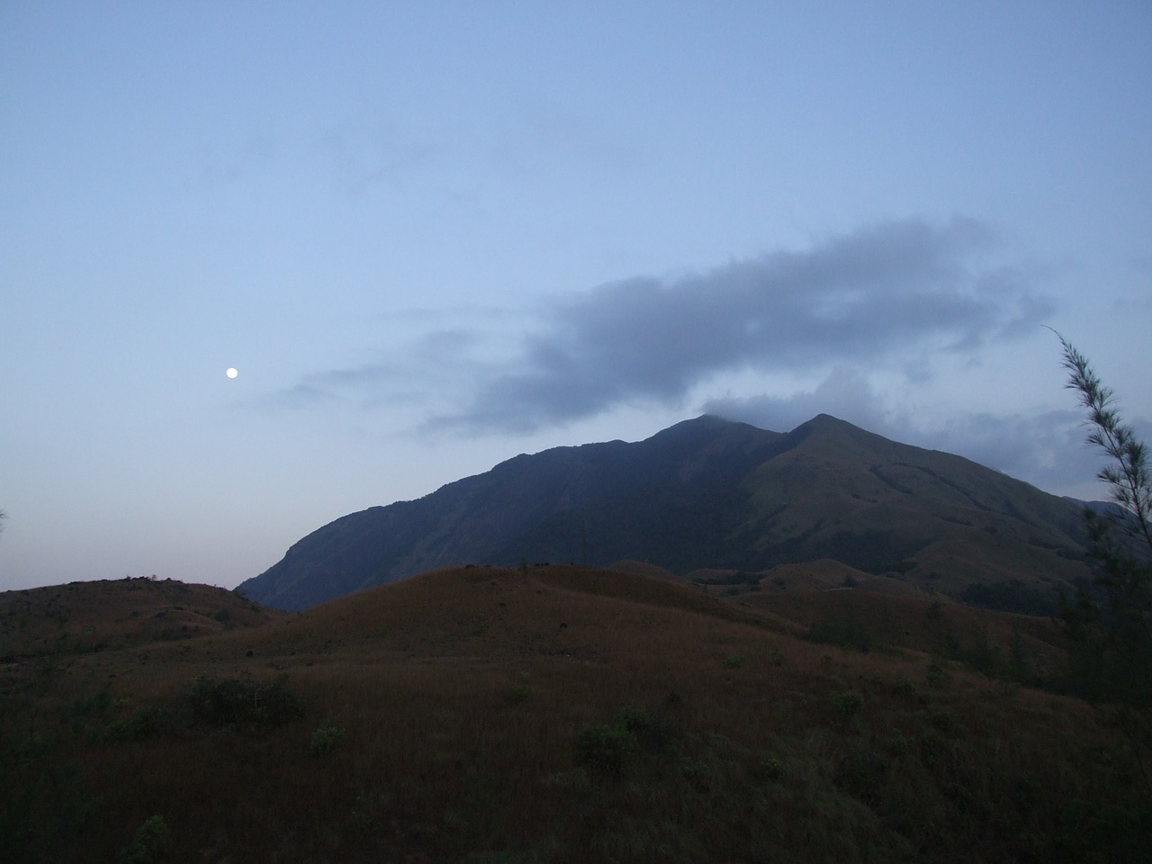 Miškas, Saulė, Gamta, Medis, Vasara, Medžiai, Žalias, Miškai, Ekologija, Lapai