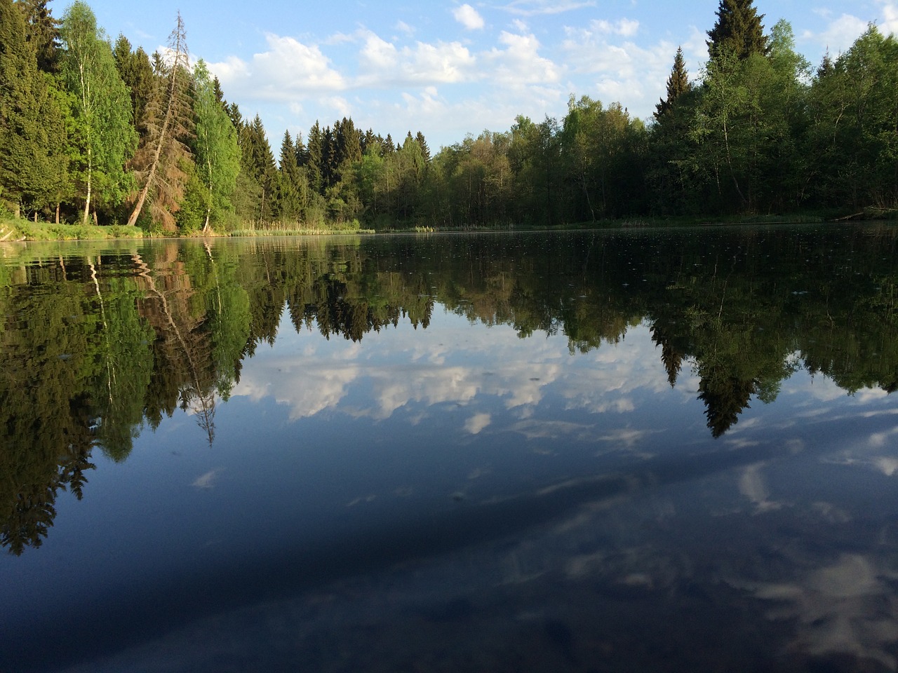 Miškas, Tvenkinys, Vasara, Vanduo, Vaizdas Į Ežerą, Atspindys Vandenyje, Upė, Dangus, Ežeras, Debesys