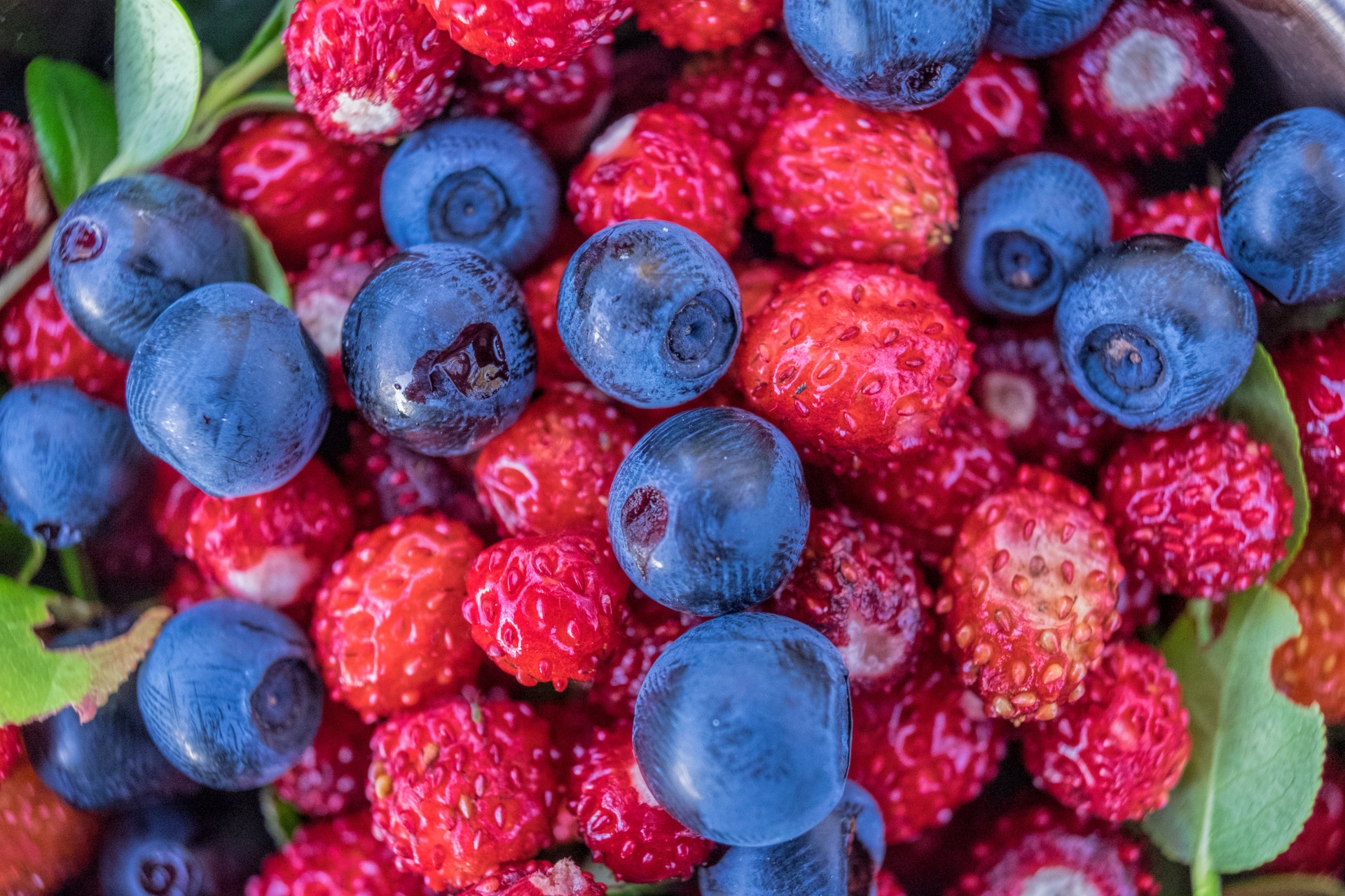 Braškės,  Mėlynės,  Uogos,  Uogos,  Vitaminai,  Sveikata,  Lapija,  Miško Produktai, Nemokamos Nuotraukos,  Nemokama Licenzija