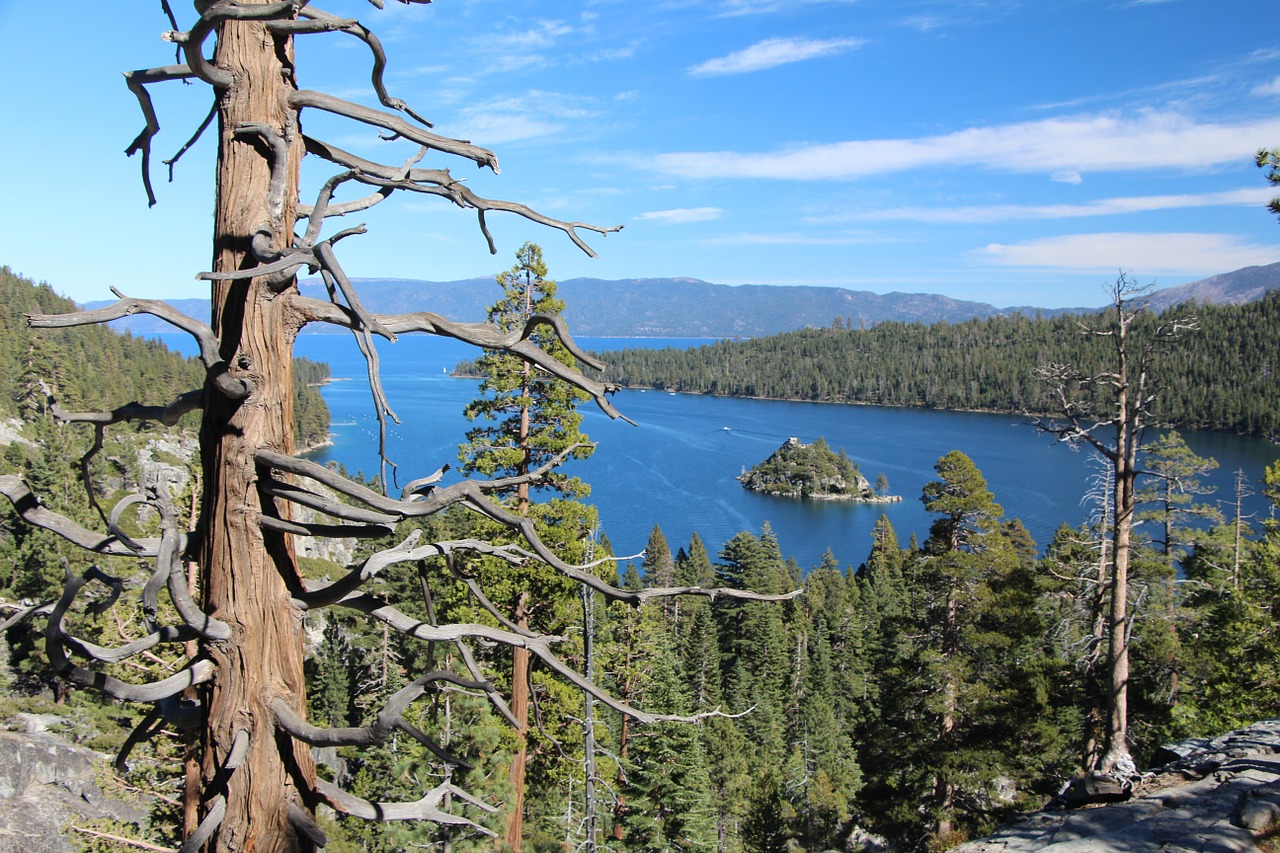 Miškas, Ežeras Tahoe, Smaragdo Įlanka, Vanduo, Ežeras, Sala, Kraštovaizdis, Dykuma, Peizažas, Natūralus