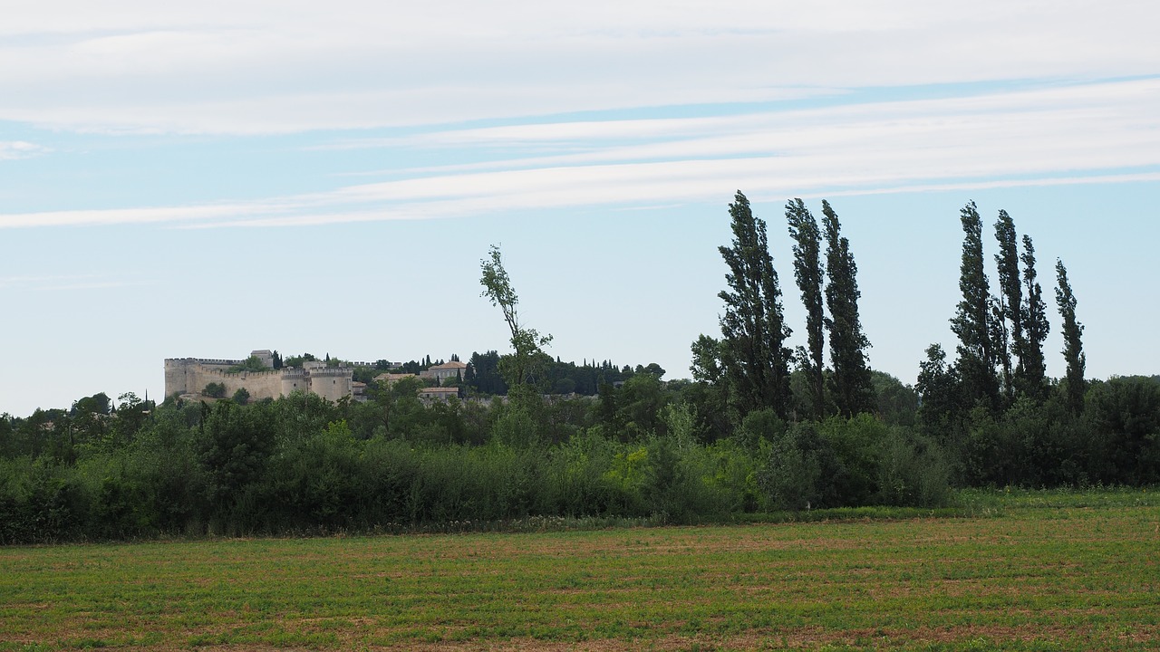 Fort Saint André, Villeneuve-Lès-Avignon, Tvirtovė, Pilis, Pastatas, Architektūra, Nemokamos Nuotraukos,  Nemokama Licenzija