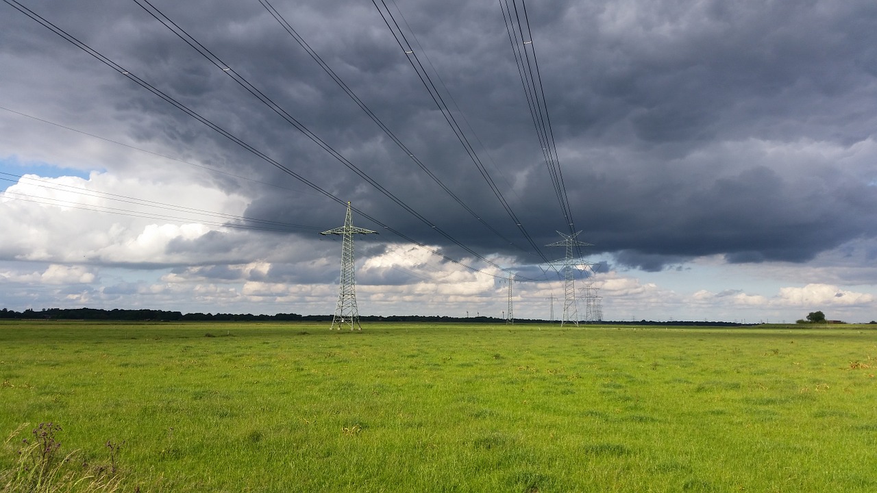 Persiųsti, Galios Poliai, Elektra, Rytinė Frisia, Pieva, Ganykla, Nemokamos Nuotraukos,  Nemokama Licenzija