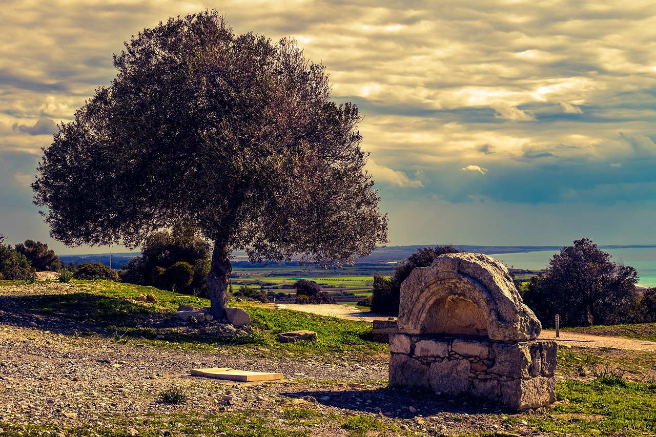 Fontanas, Senovės, Akmuo, Architektūra, Alyvmedis, Kraštovaizdis, Kourion, Kipras, Archeologiniai, Svetainė