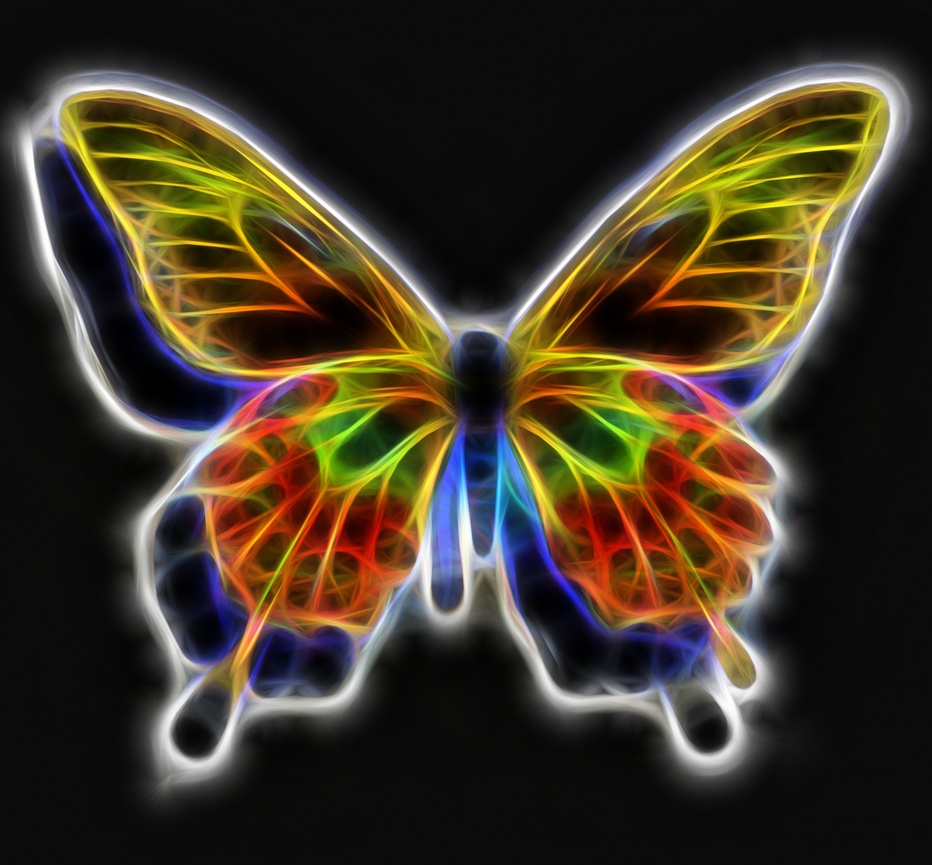 Аватарки с бабочками. Бабочки. Радужные бабочки. Красивые бабочки. Бабочка абстракция.