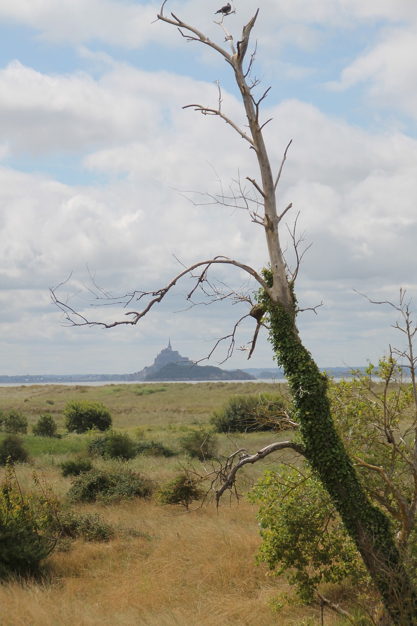 France, Normandija, Mont Saint Michel, Jūra, Kranto, Nemokamos Nuotraukos,  Nemokama Licenzija