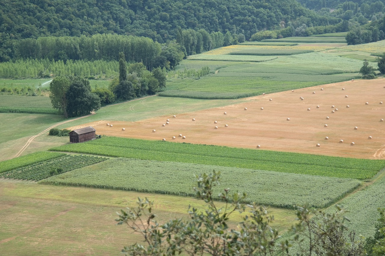 France, Laukas, Šalis, Gamta, Provence, Žemdirbystė, Nemokamos Nuotraukos,  Nemokama Licenzija