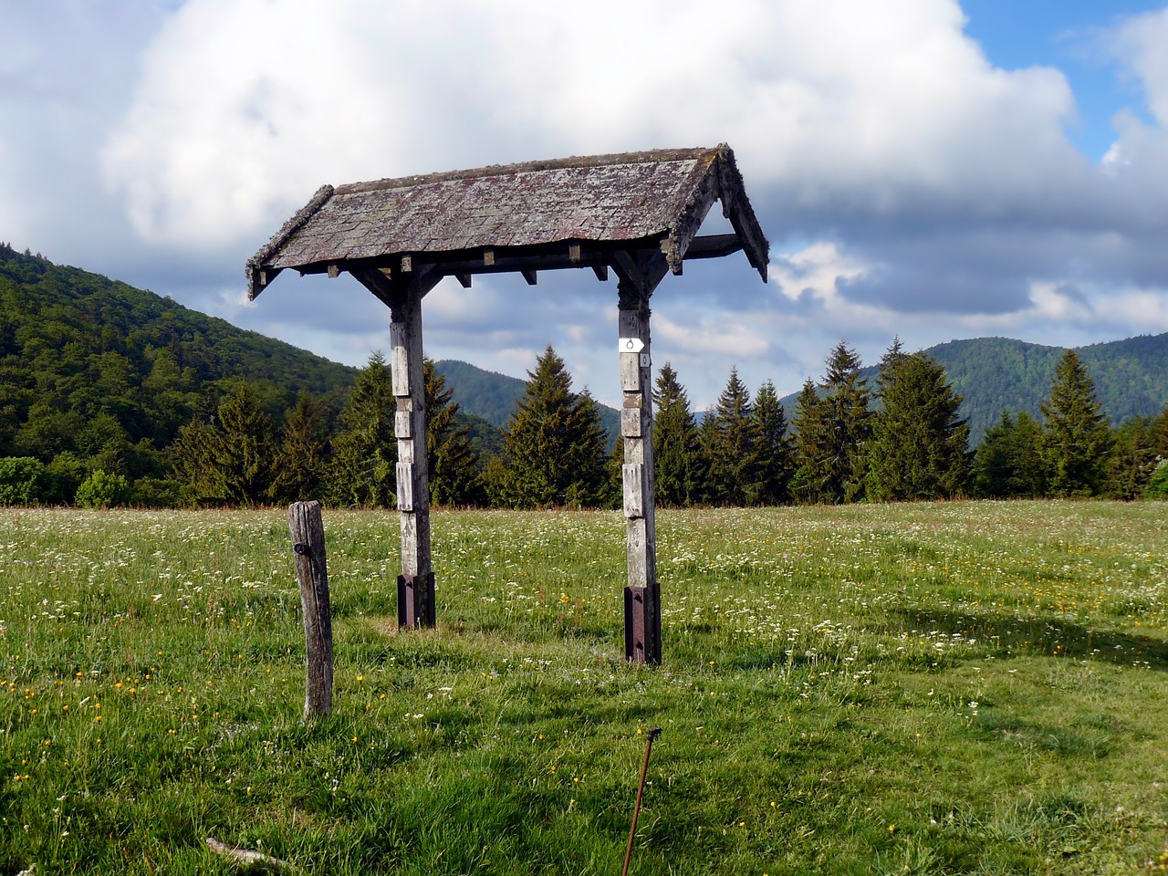 France, Kraštovaizdis, Kalnai, Miškas, Medžiai, Laukas, Dangus, Debesys, Vasara, Gamta