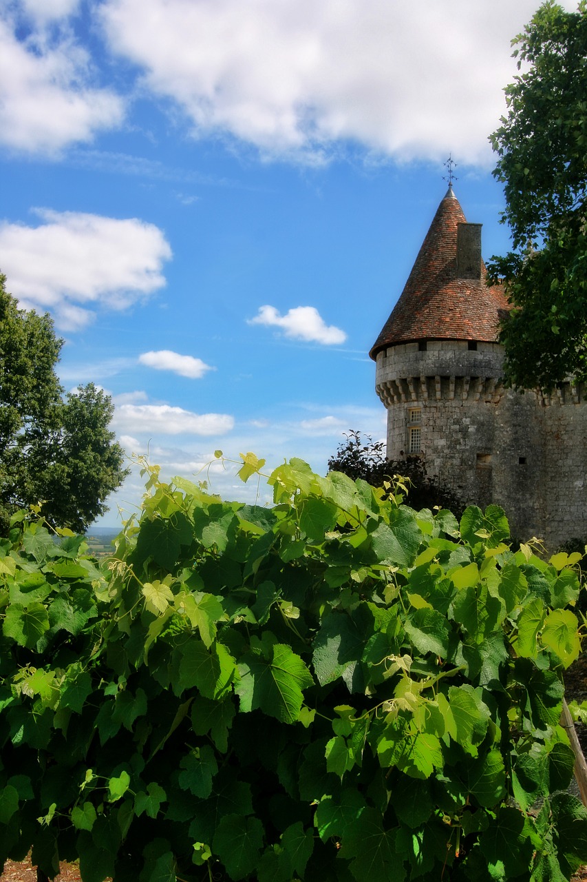 France, Dordogne, Périgord, Pilis, Vynmedis, Monbazillac, Nemokamos Nuotraukos,  Nemokama Licenzija