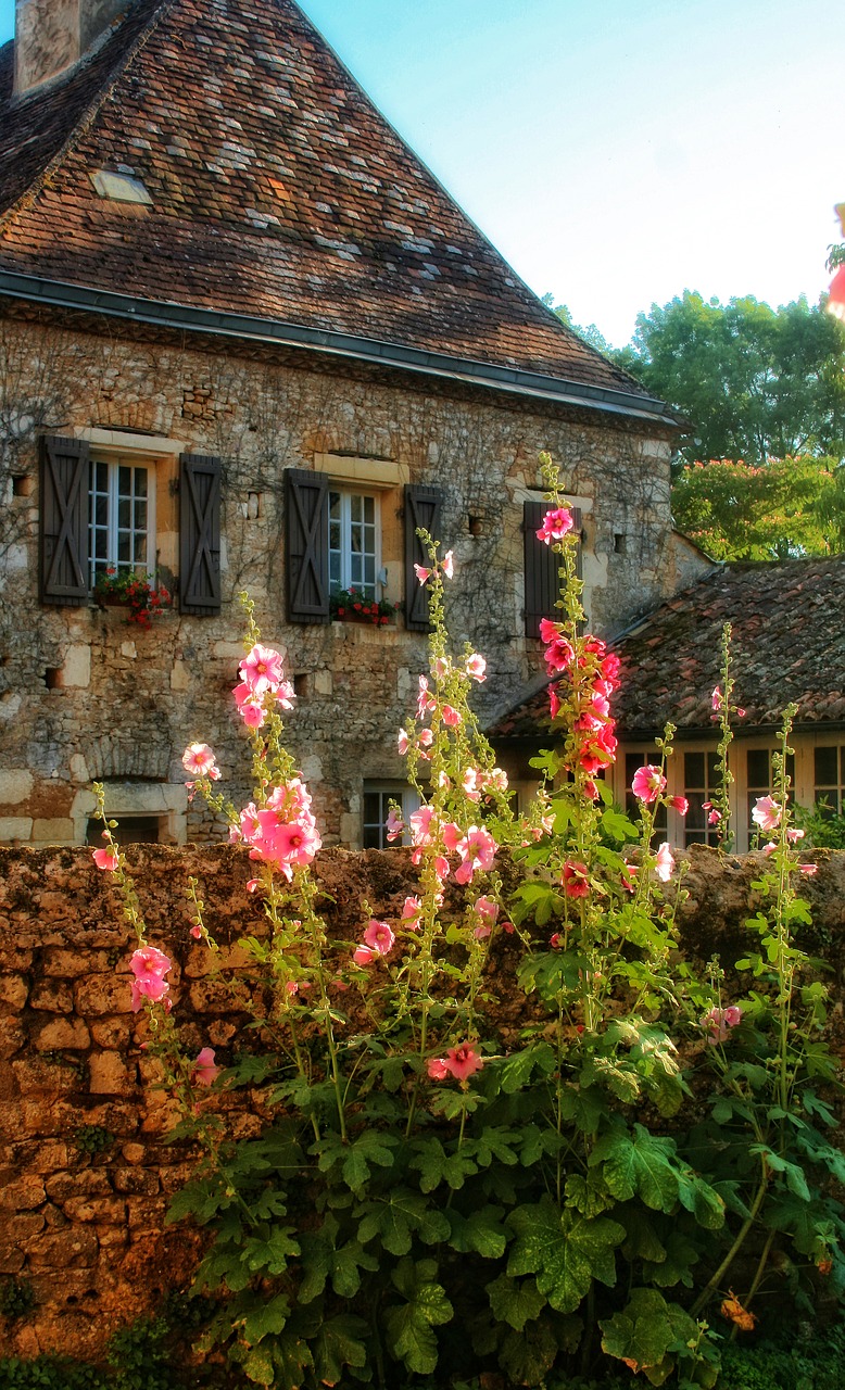 France, Dordogne, Périgord, Namas, Akmenys, Hollyhock, Nemokamos Nuotraukos,  Nemokama Licenzija