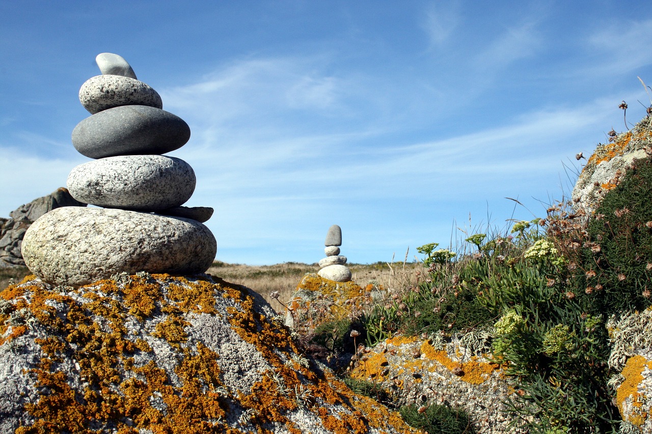 France, Brittany, Finistère, Pierre, Zen, Kraštovaizdis, Kiauliena, Nemokamos Nuotraukos,  Nemokama Licenzija