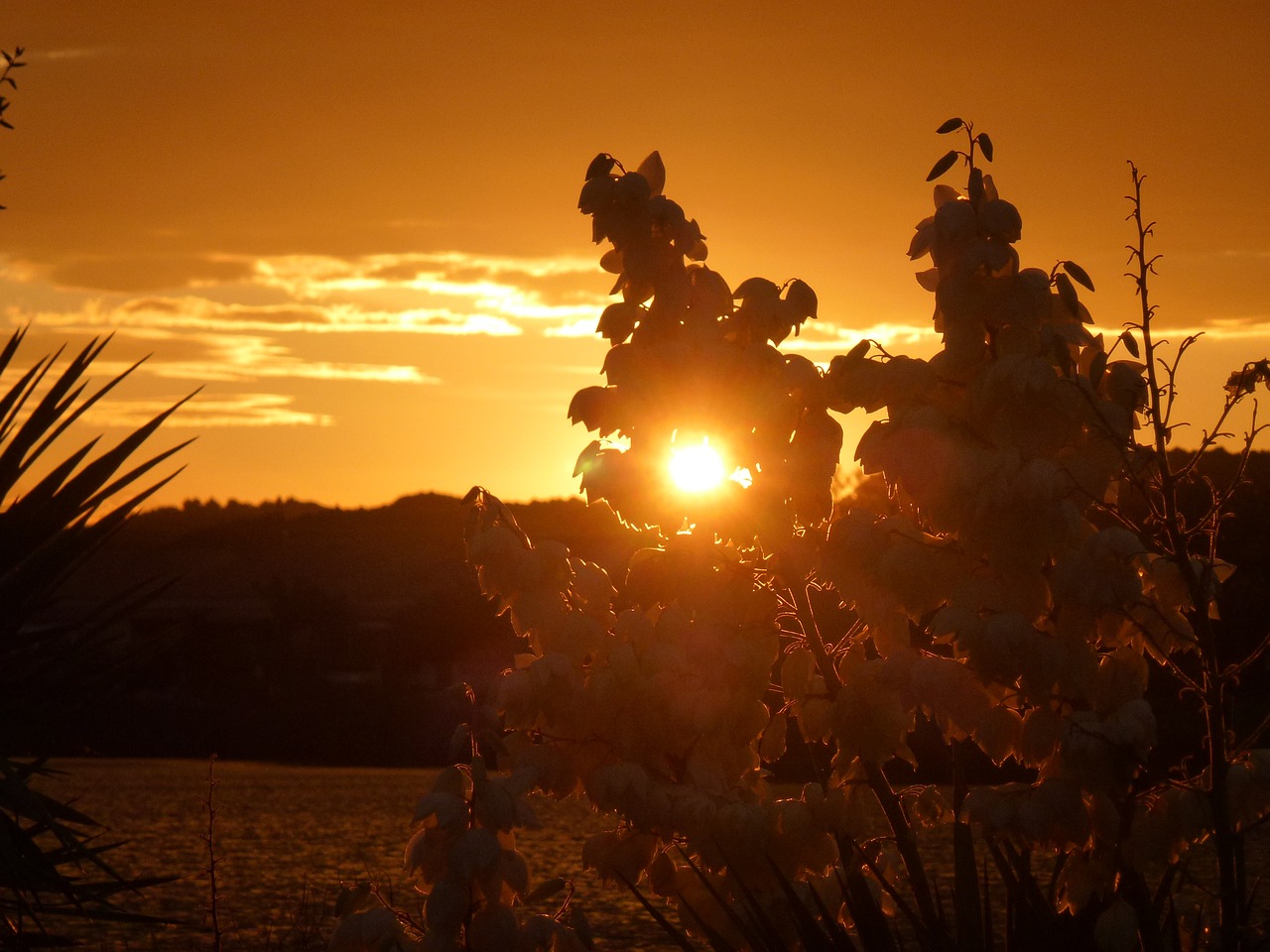 France, Saulėlydis, Vakarinis Dangus, Abendstimmung, Vakaras, Šventė, Kelionė, Languedoc, Į Pietus Nuo Prancūzijos, Nemokamos Nuotraukos