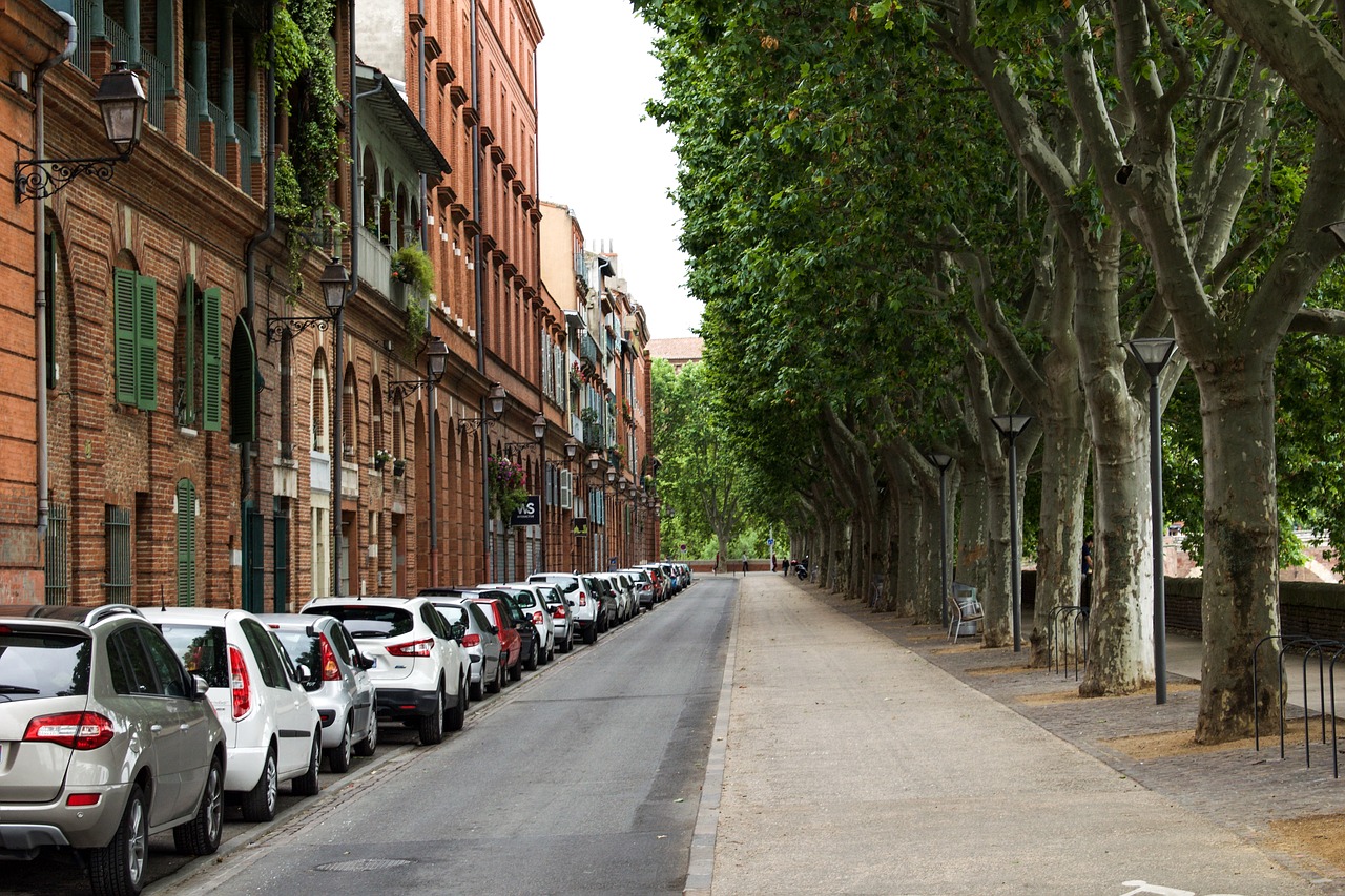 France, Toulouse, Architektūra, Pastatai, Gatvė, Senas, Centras, Miestas, Senamiestis, Rožinis Miestas