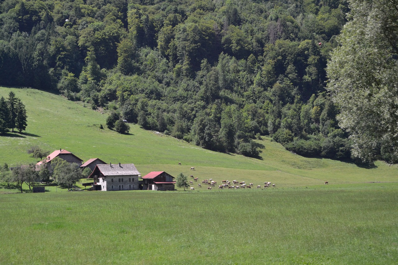 France, Laukas, Kaimas, Senoji Kortelė, Perspektyva, Valstiečių Mergina, Miestas, Moteris, Vintage, Žmonės