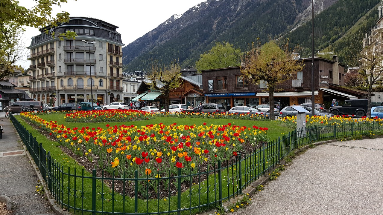 France, Kalnas, Chamonix, Miestas, Kraštovaizdis, Gėlės, Gamta, Nemokamos Nuotraukos,  Nemokama Licenzija