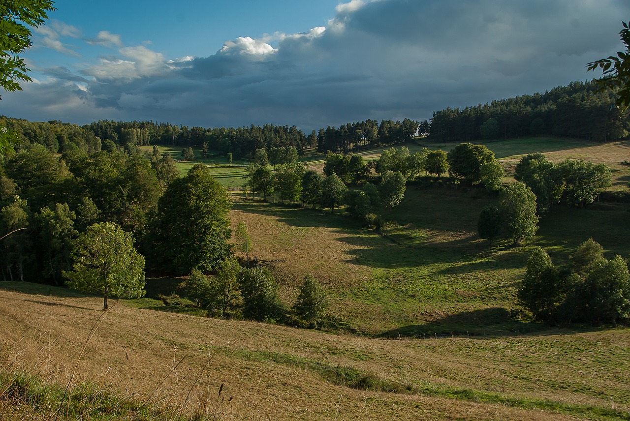 France, Lozère, Ganykla, Prairie, Nemokamos Nuotraukos,  Nemokama Licenzija