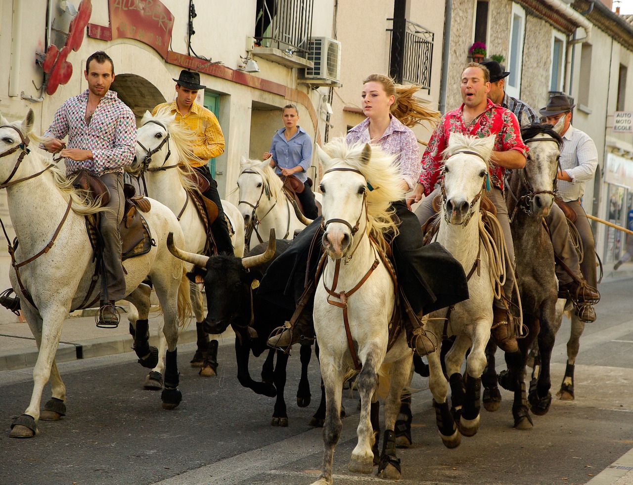 Camargue, Gardian, Kaimo Festivalis, Buliai, Arkliai, Feria, Nemokamos Nuotraukos,  Nemokama Licenzija