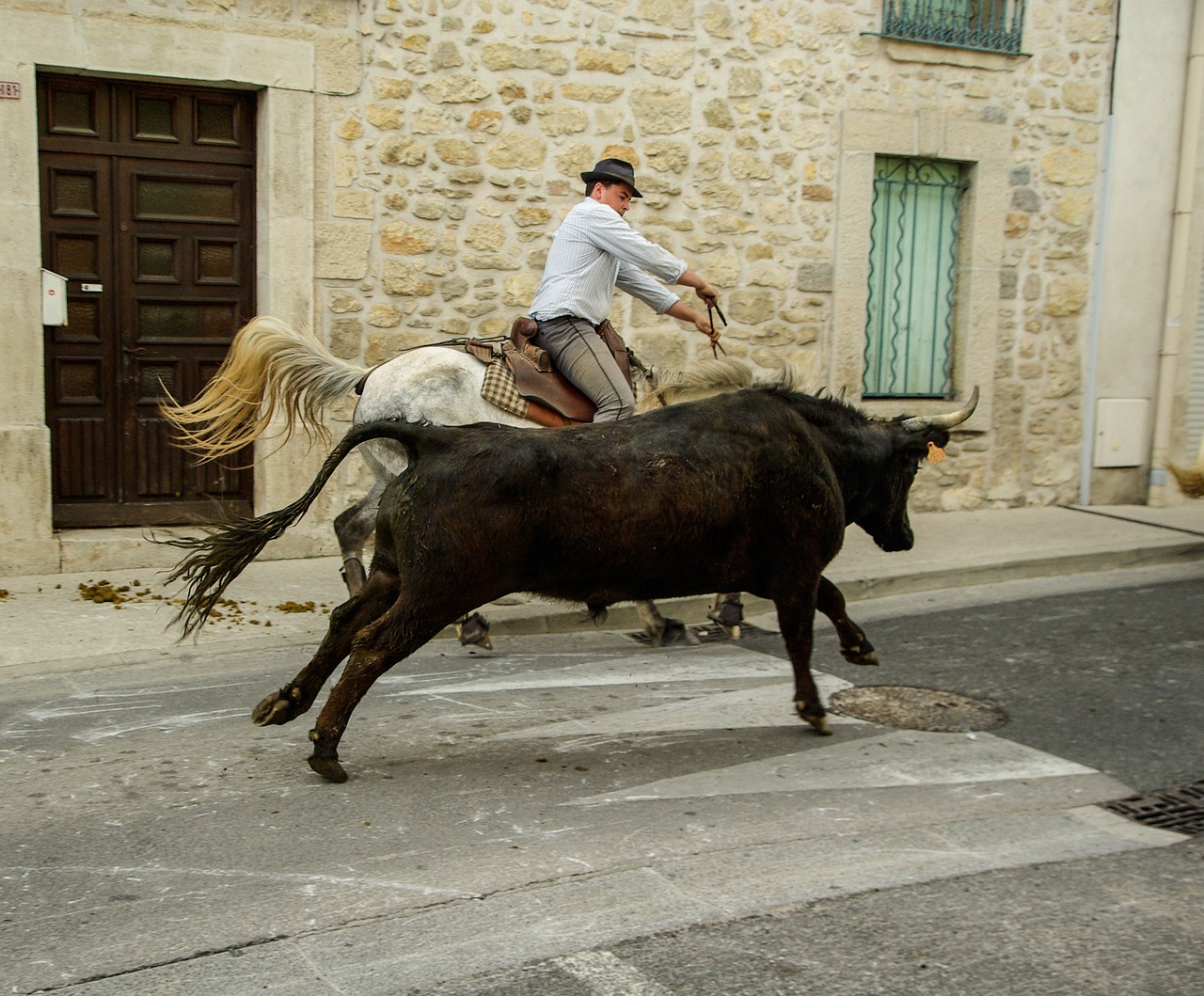 France, Camargue, Buliai, Gardininkai, Kaimo Festivalis, Nemokamos Nuotraukos,  Nemokama Licenzija