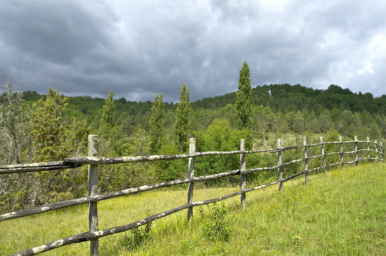 France, Tvora, Kraštovaizdis, Miškas, Medžiai, Miškai, Dangus, Debesys, Ūkis, Kaimas