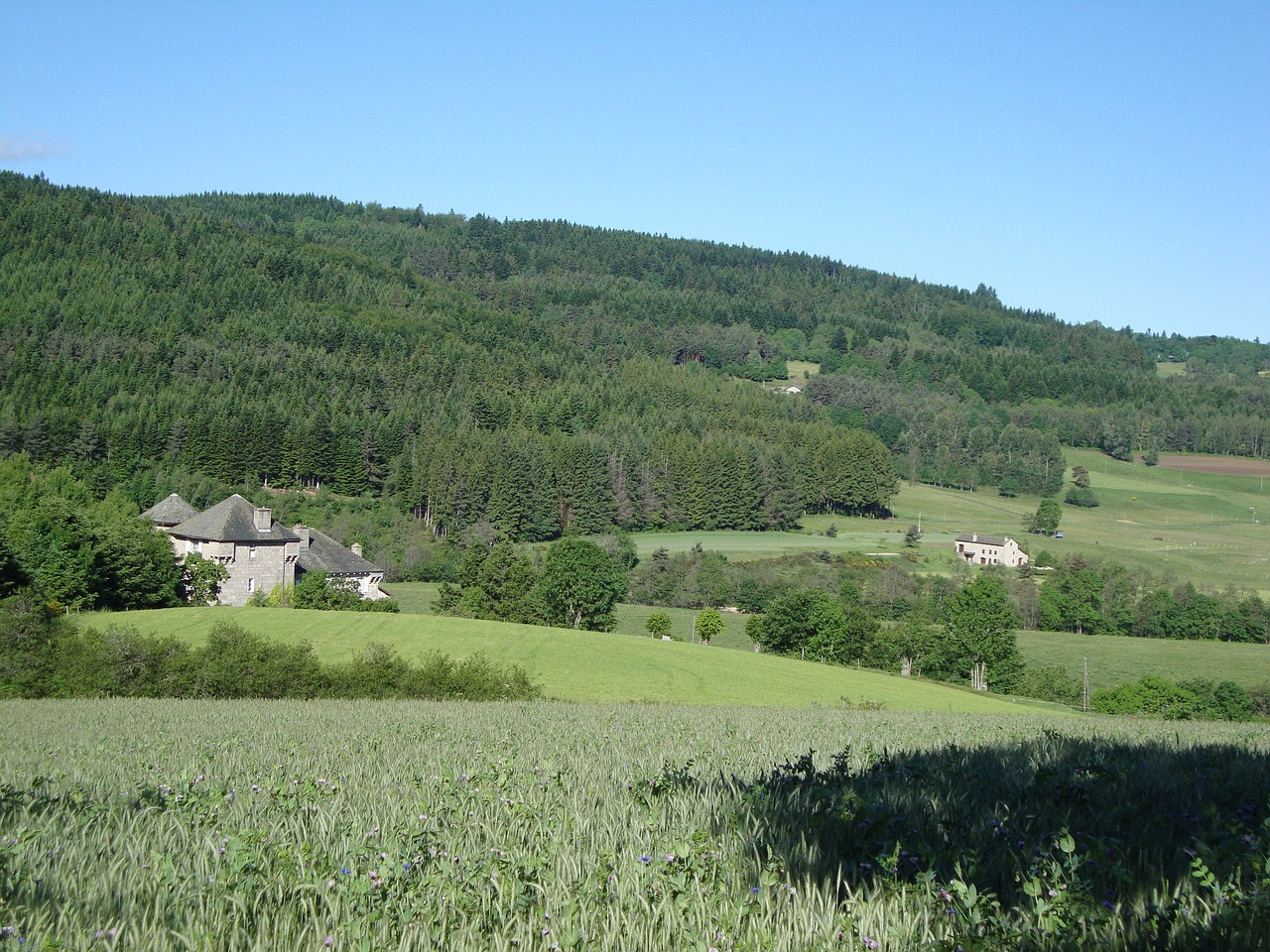 France, Namai, Dangus, Debesys, Kraštovaizdis, Augalai, Laukai, Kalnai, Miškas, Medžiai