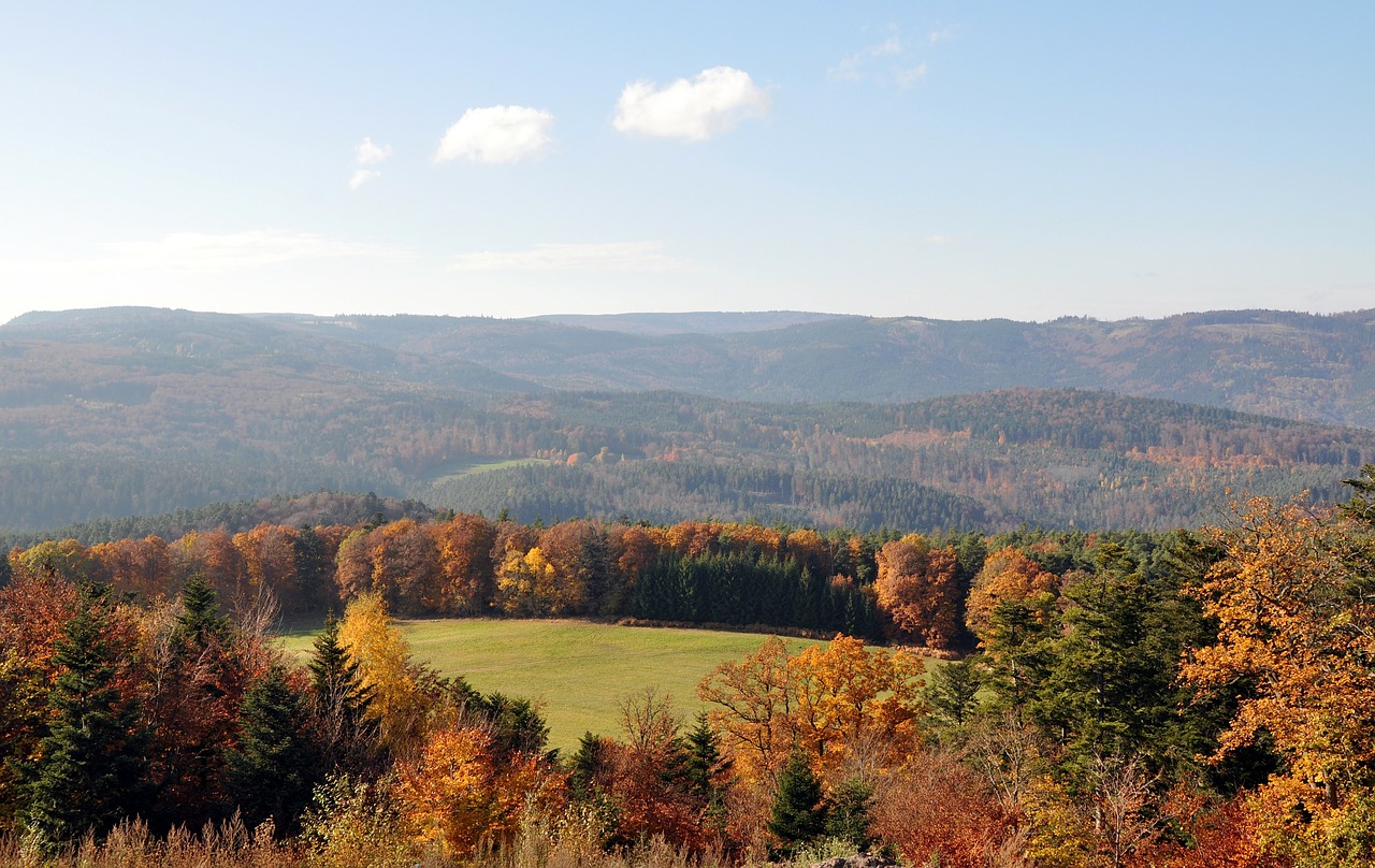 France, Kraštovaizdis, Kalnai, Miškas, Medžiai, Miškai, Žolė, Augalai, Ruduo, Kritimas