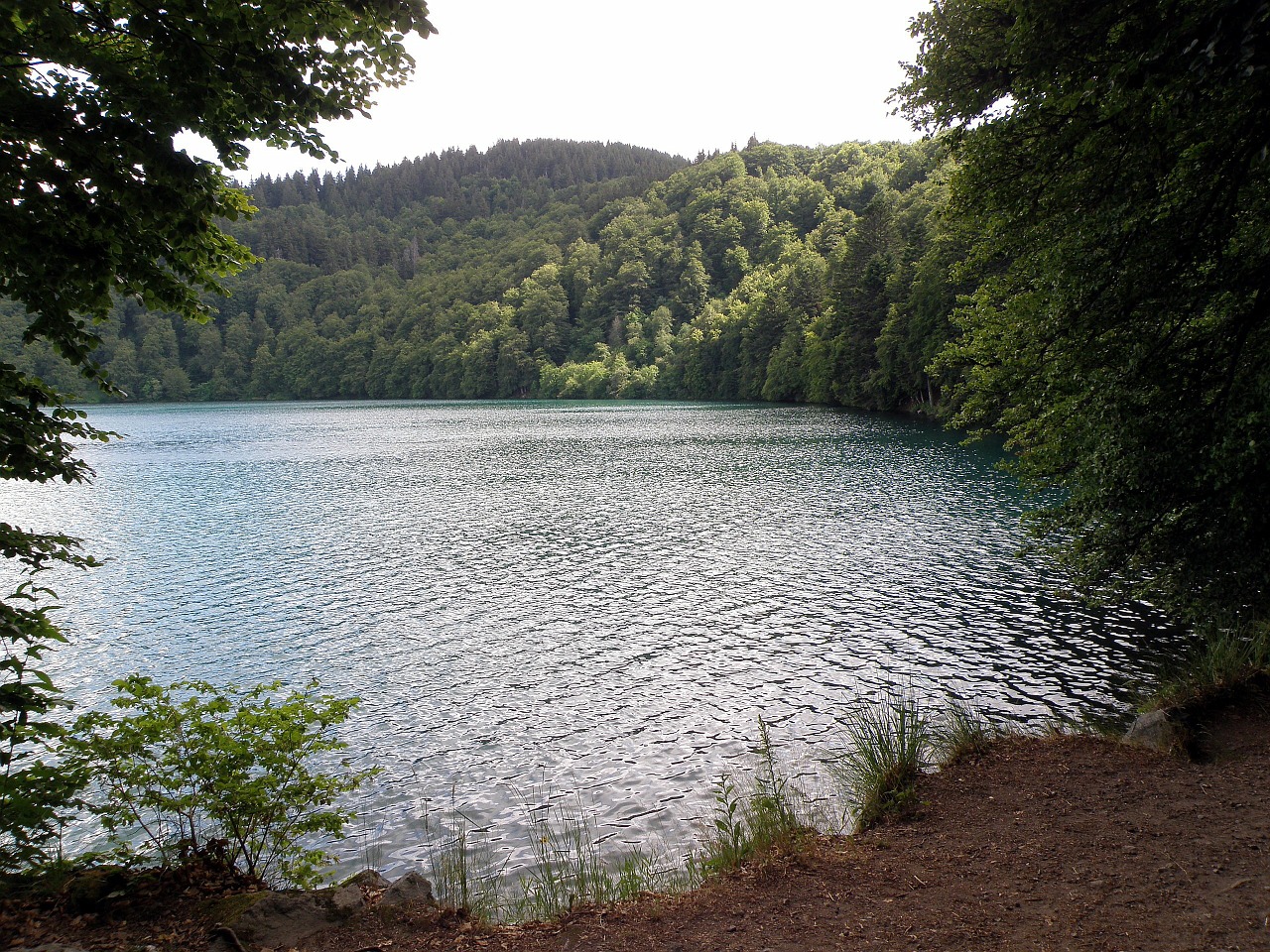 France, Miškas, Miškai, Medžiai, Ežeras, Vanduo, Dangus, Debesys, Vaizdingas, Augalai