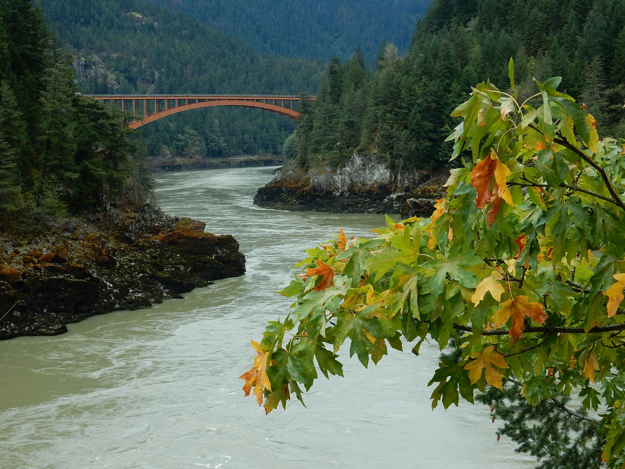 Fraser Upė, Britanijos Kolumbija, Kanada, Panoraminis Vaizdas Nuo Aleksandros Tilto, Greitkelis 97, Tiltas, Upė, Ruduo, Vanduo, Gamta