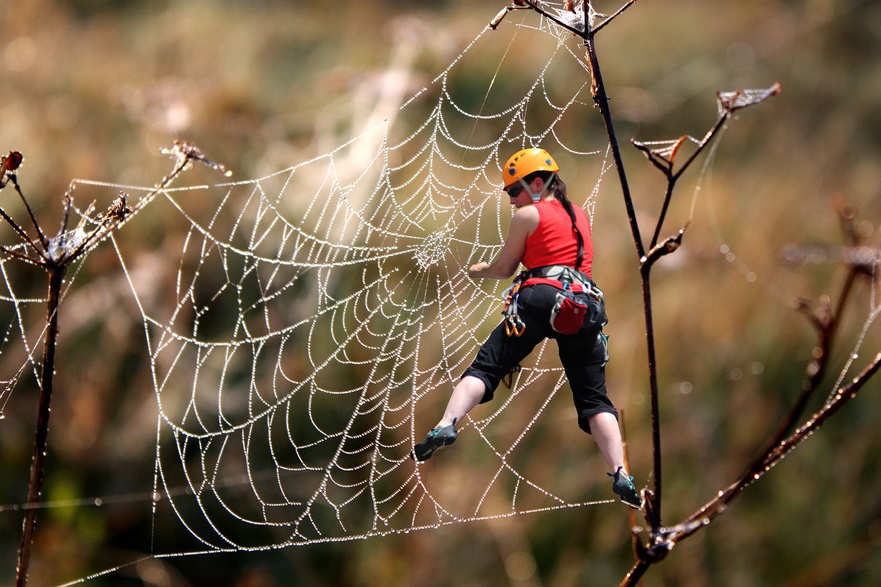 Nemokamas Laipiojimas, Lipti, Voratinklis, Neužtikrintas, Alpinistas, Rappel To, Nemokamos Nuotraukos,  Nemokama Licenzija