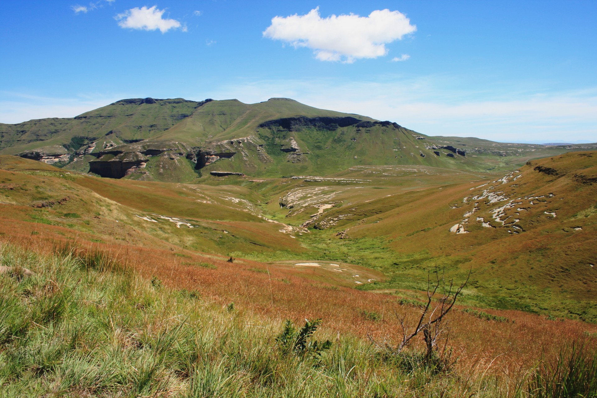 Kalnas,  Nuolydžiai & Nbsp,  Pusės & Nbsp,  Kalnas,  Rūdys & Nbsp,  Žalias & Nbsp,  Veld,  Žolė,  Balta Debesys,  & Nbsp