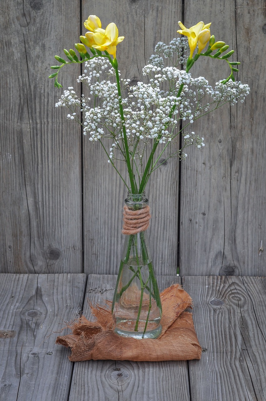 Frezijos, Gėlė, Geltona, Gėlės, Geltona Gėlė, Schnittblume, Gypsophila, Balta, Uždaryti, Mediena