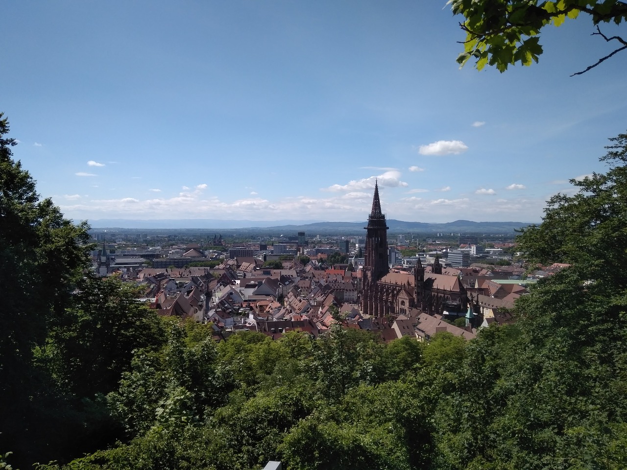 Freiburgas, Juodasis Miškas, Münsteris, Vaizdas, Miestas, Schlossberg, Nemokamos Nuotraukos,  Nemokama Licenzija