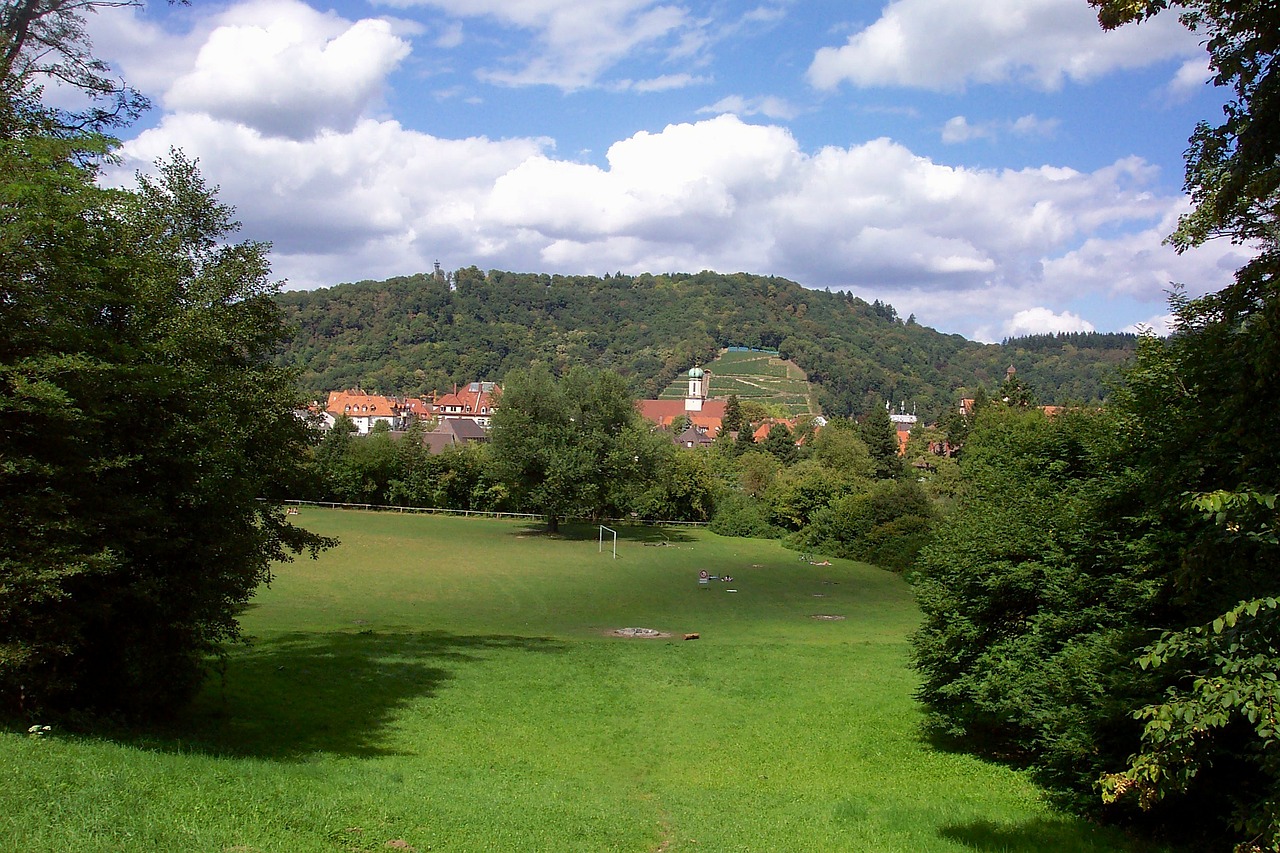 Freiburgas, Vokietija, Kraštovaizdis, Dangus, Debesys, Kalnai, Miškas, Medžiai, Miškai, Miestas