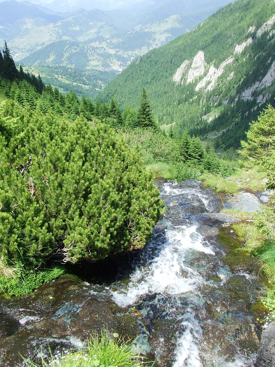 Šviežias,  Vanduo,  Krioklys,  Uolos,  Kalnų Upelis,  Kalnai,  Alpių Veja,  Törpefenyves,  Cathy R Kalnai,  Transilvanija