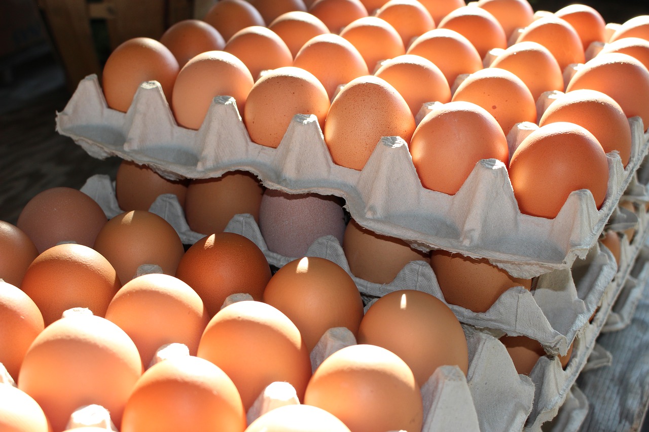 Švieži Kiaušiniai, Namuose Išauginti Kiaušiniai, Žemdirbystė, Nemokamos Nuotraukos,  Nemokama Licenzija