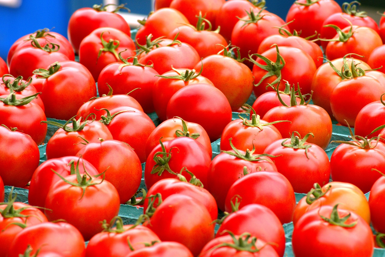 Švieži Nuskinti Pomidorai,  Švieži Pomidorai,  Pomidorai,  Daržovės,  Maisto,  Derlius,  Turgus,  Ūkininkų Turgus,  Pomidorų,  Ūkis