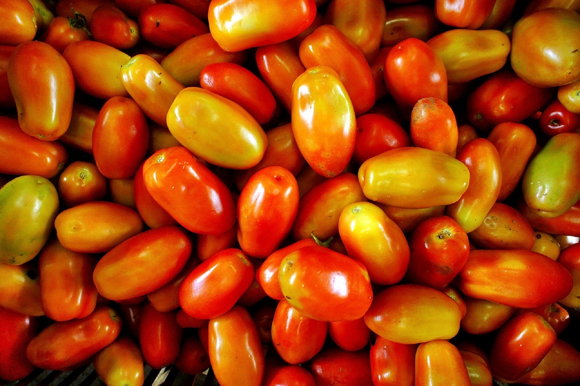 Pomidorai,  Šviežias,  Slyva,  Daržovės,  Sveikas,  Ūkininkų & Nbsp,  Rinka,  Mityba,  Salotos,  Natūralus