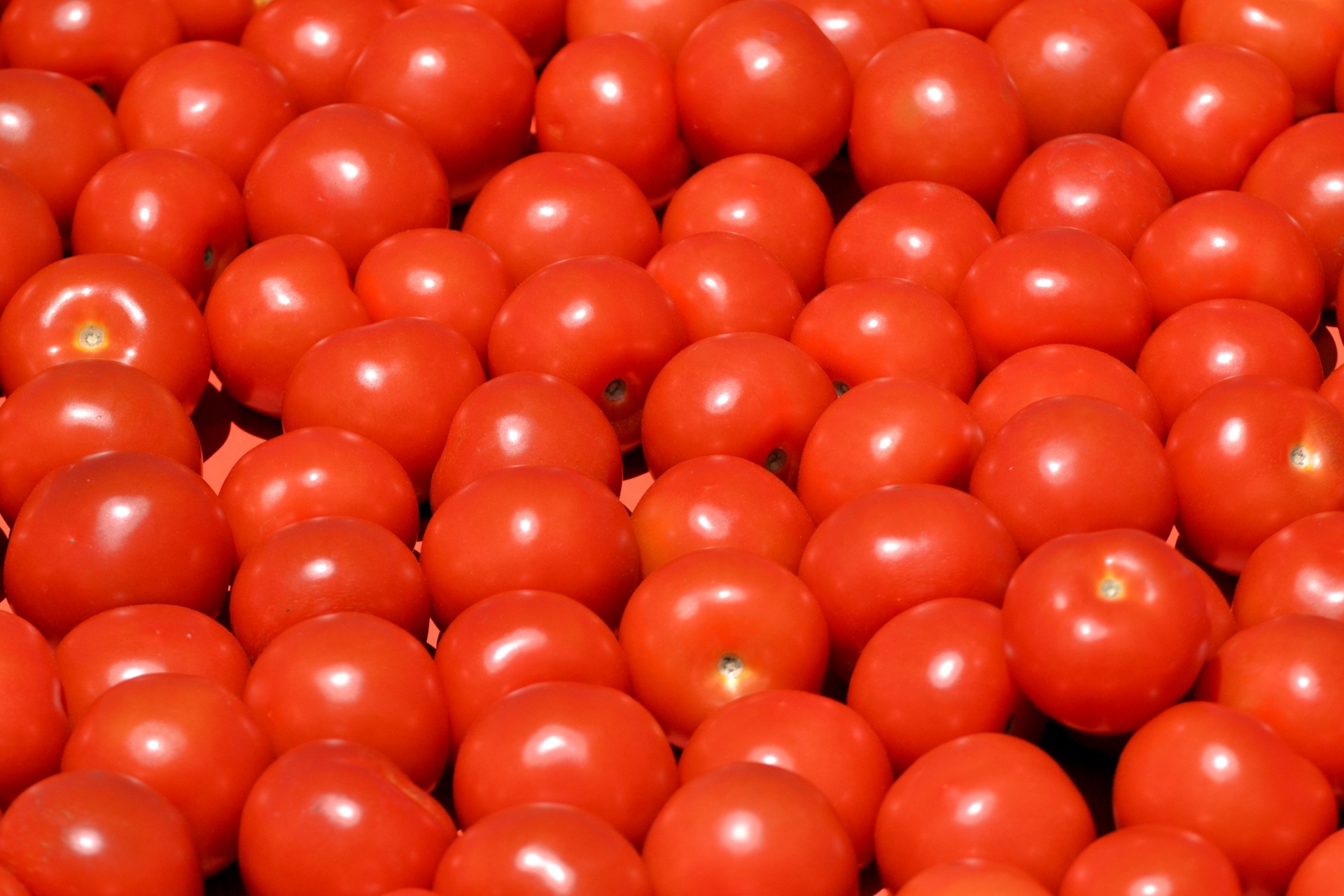 Pomidorai,  Šviežias,  Daržovės,  Raudona,  Sveikas,  Ūkininkų & Nbsp,  Rinka,  Rodyti,  Mityba,  Salotos