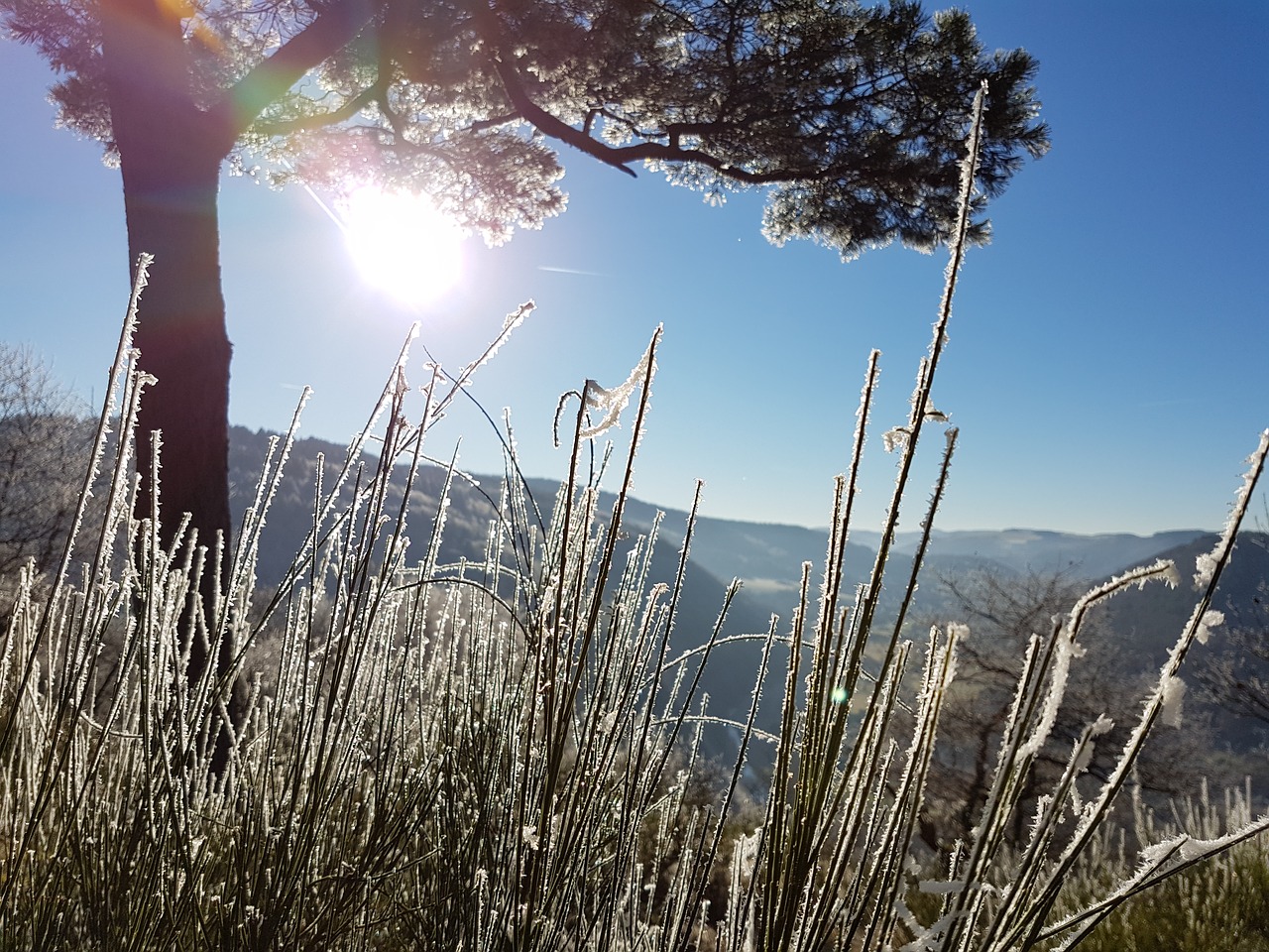 Šaltis, Eifel, Žiema, Nemokamos Nuotraukos,  Nemokama Licenzija