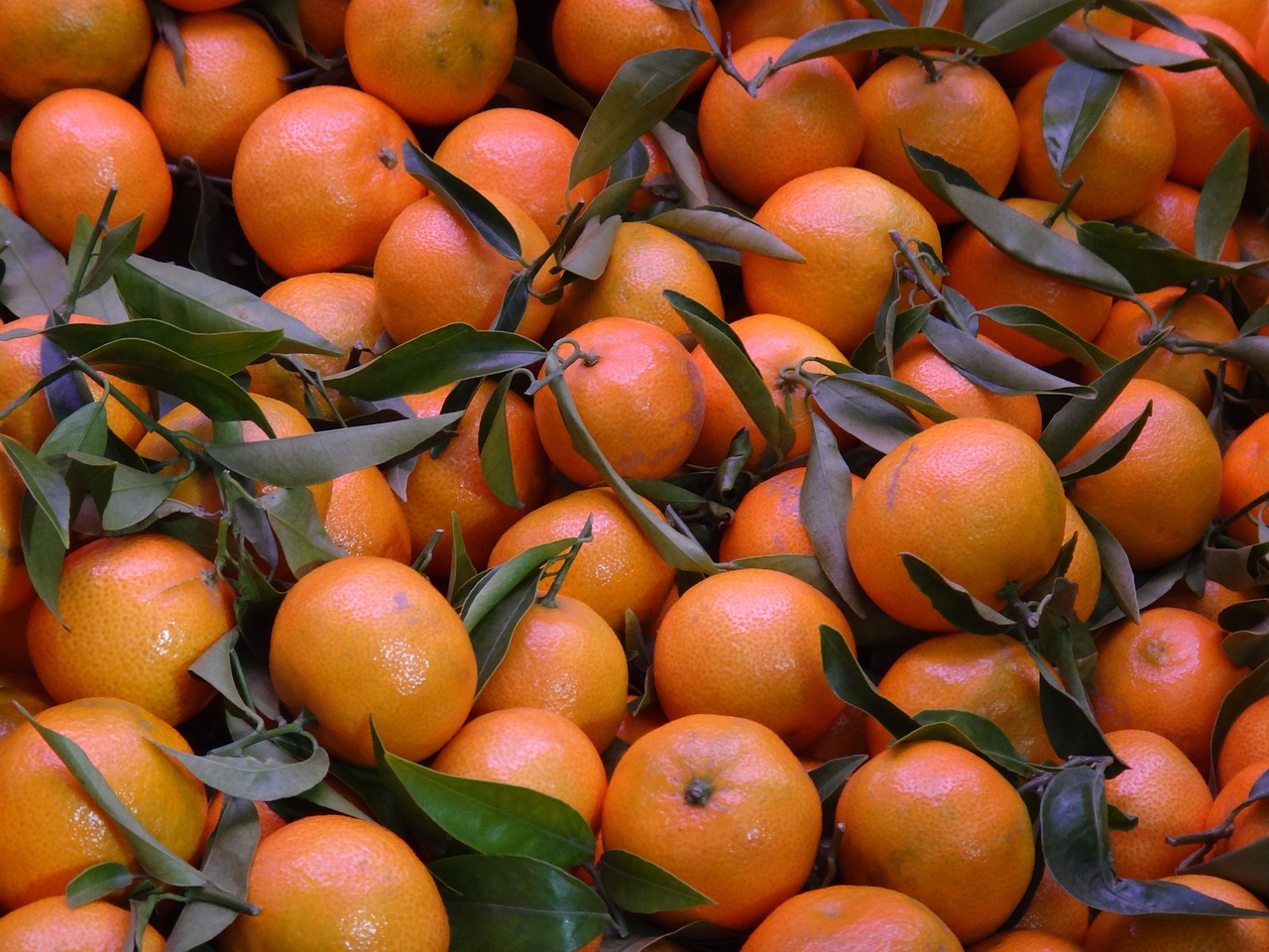 Vaisiai, Mandarinai, Oranžinė, Nemokamos Nuotraukos,  Nemokama Licenzija