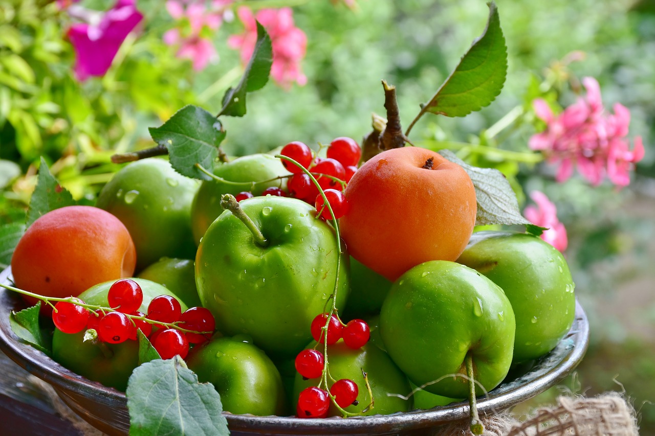 Vaisių,  Apple,  Abrikosai,  Serbentai,  Šviežias,  Sveiki,  Prinokę,  Derlius,  Maisto,  Pobūdį