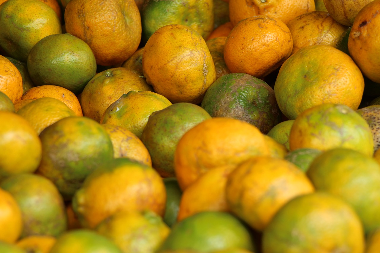 Vaisiai, Oranžinė, Caruaru, Šviesus, Ūkininkas, Recife, Pernambuco, Kultūra, Brazilijos, Šviežias Maistas