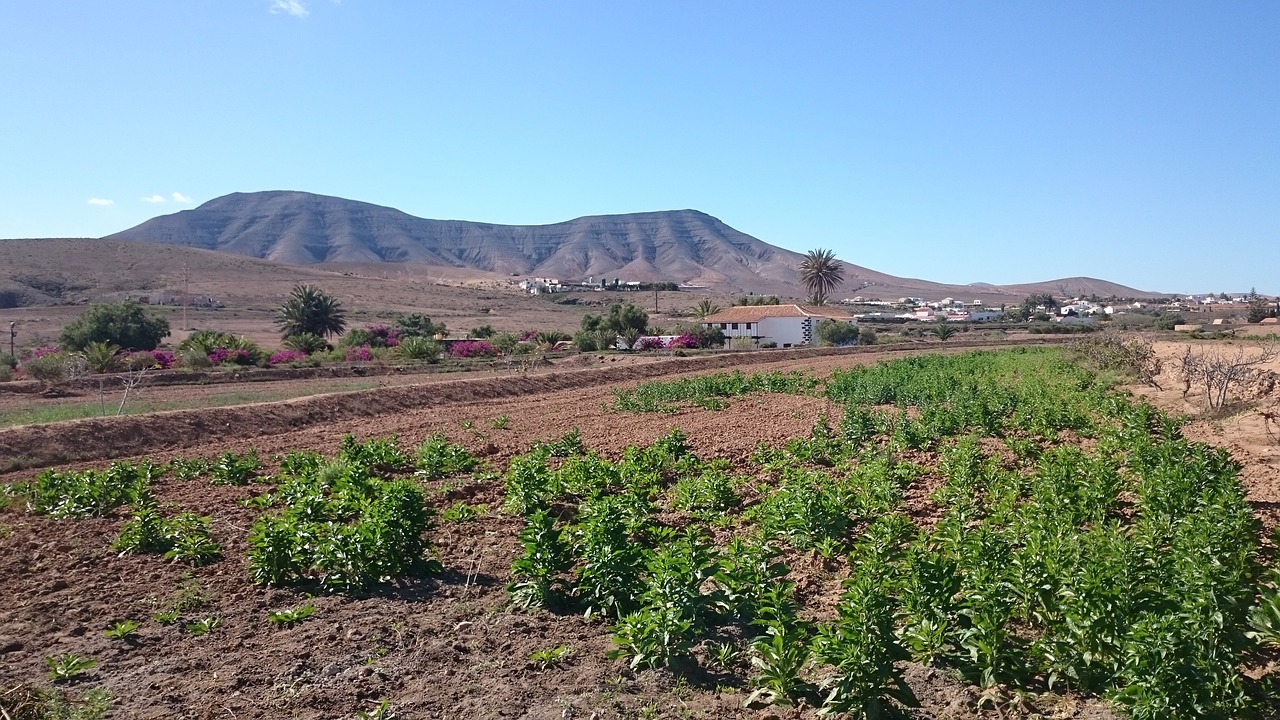 Fuerteventura, Kraštovaizdis, Kaimas, Gamta, Takas, Kalnų Peizažas, Žemdirbystė, Kaimiškas, Laukas, Nemokamos Nuotraukos