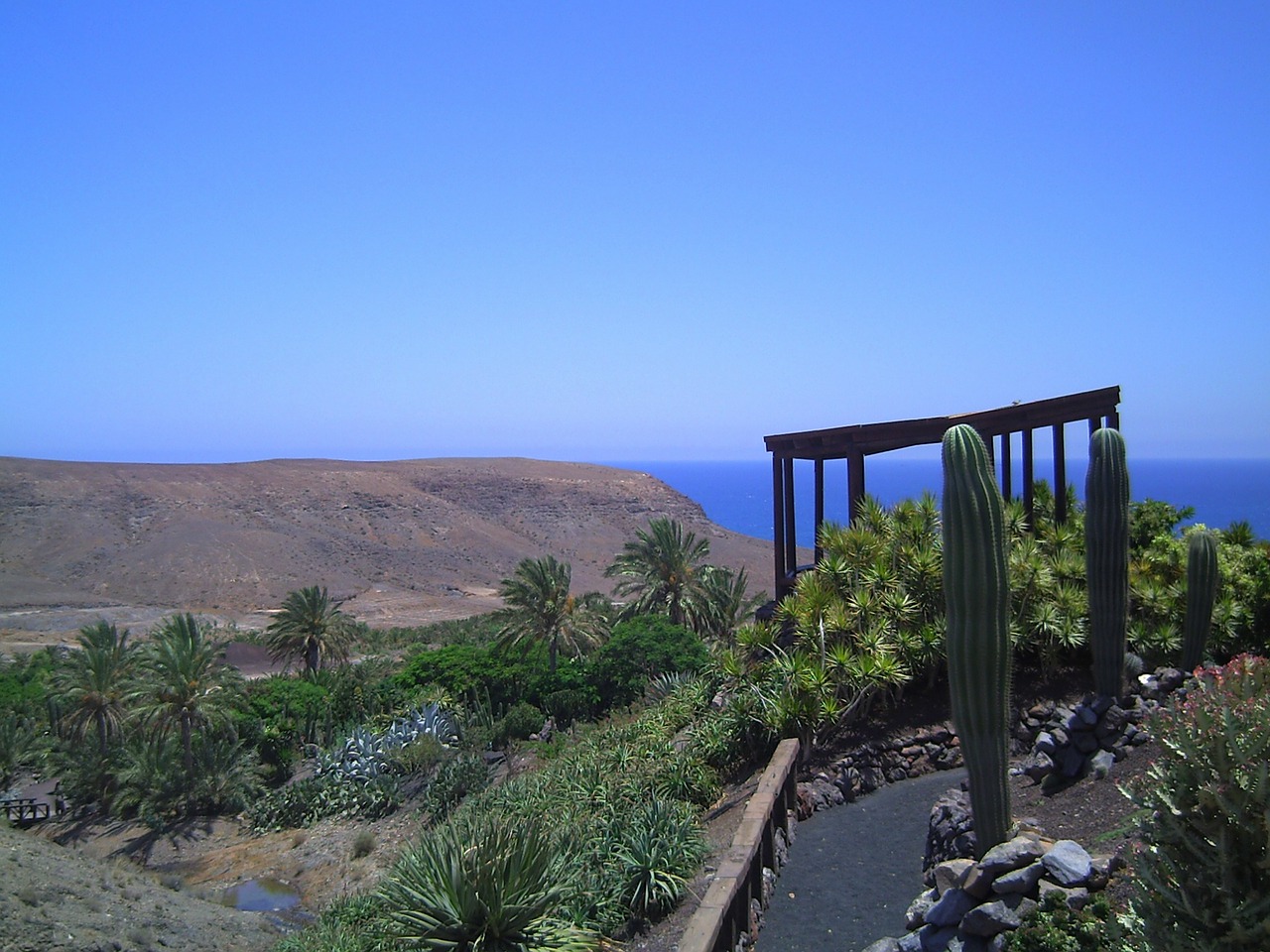 Fuerteventura, Dangus, Mėlynas, Vasara, Ispanija, Pavasaris, Saulėtas, Kraštovaizdis, Augalas, Debesys