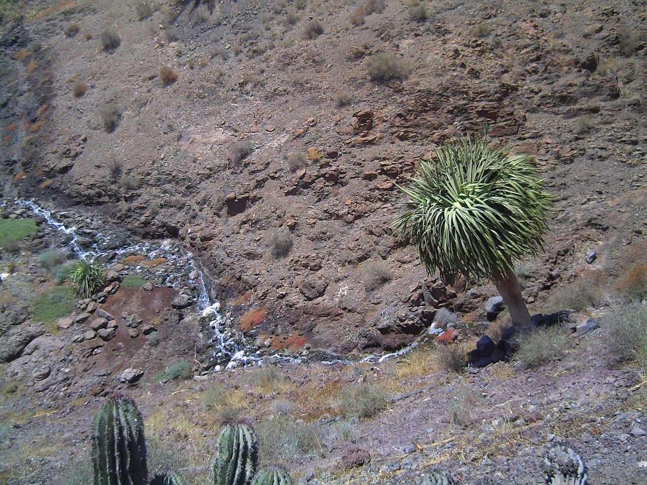 Fuerteventura, Slėnis, Akmuo, Vanduo, Akmenys, Srautas, Atspindys, Augalas, Gamta, Rokas