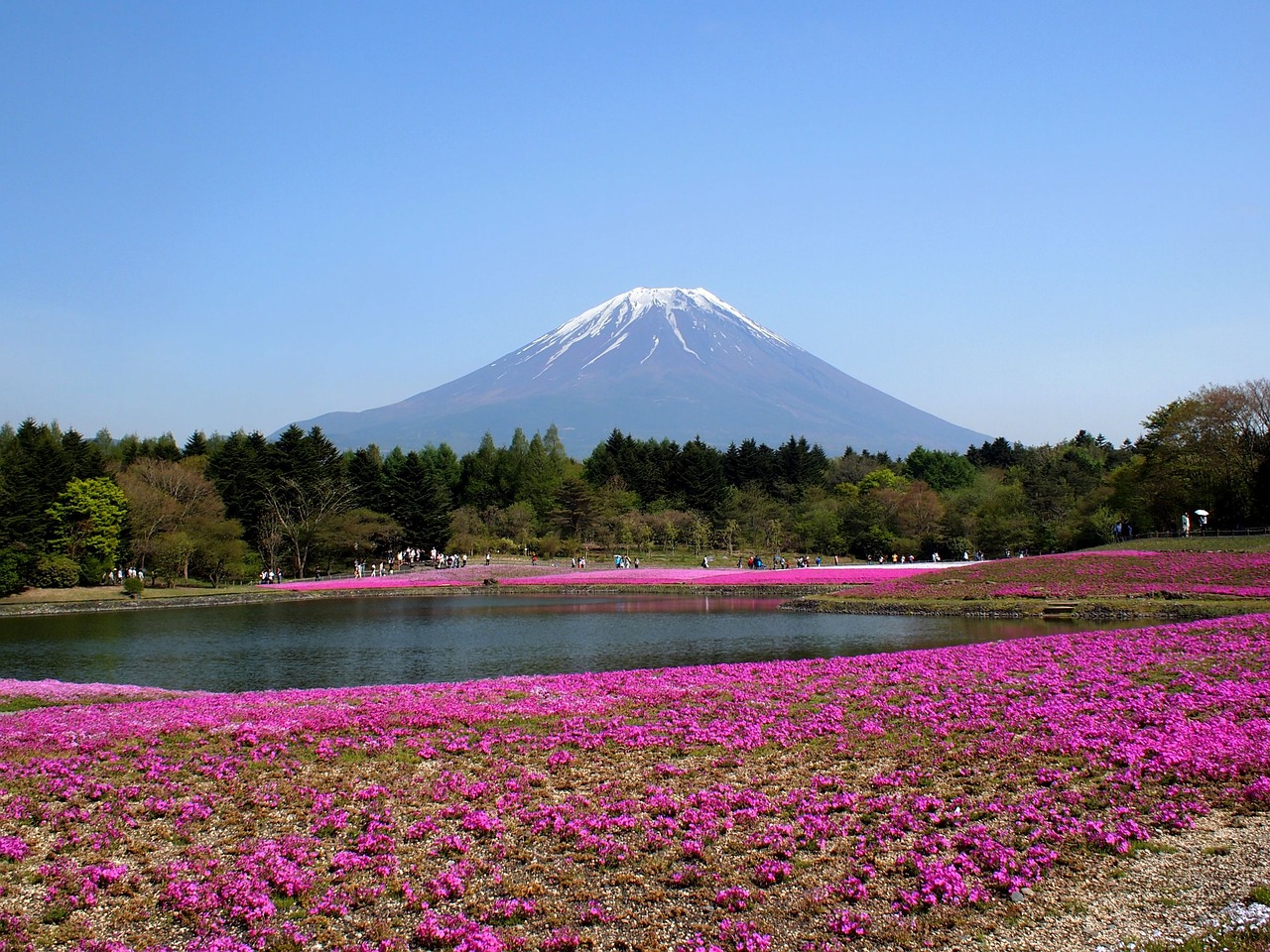 Fuji, Mt Fuji, Floksas, Nemokamos Nuotraukos,  Nemokama Licenzija