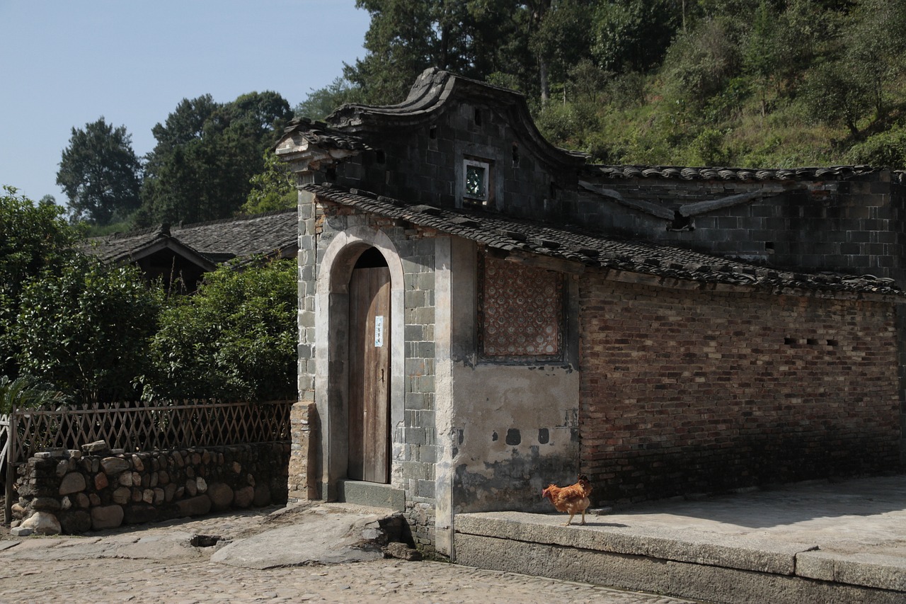 Fujian, Citylink, Pastatai, Nemokamos Nuotraukos,  Nemokama Licenzija