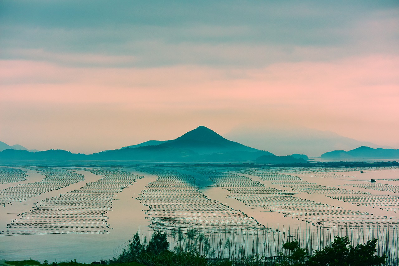 Fujian, Xiapu, Shoals, Rytas, Kraštovaizdis, Nemokamos Nuotraukos,  Nemokama Licenzija