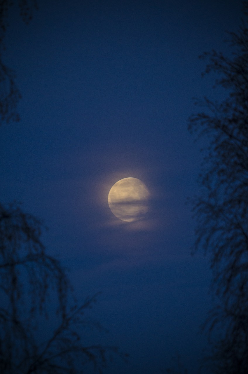 Pilnatis, Mėnulis, Mėnulio Šviesa, Paslaptis, Mėlynas, Himmel, Piteå, Norrbotten, Norrland, Nemokamos Nuotraukos