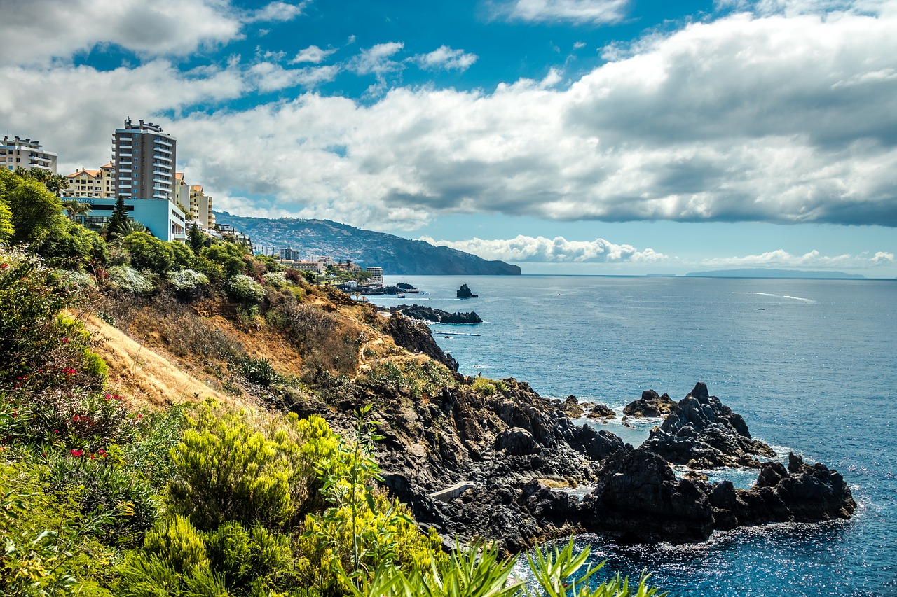 Funchal Mieste,  Medienos Salos,  Kosta,  Mar,  Architektūra,  Turizmas,  Hdr,  6K,  Tapetai, Nemokamos Nuotraukos