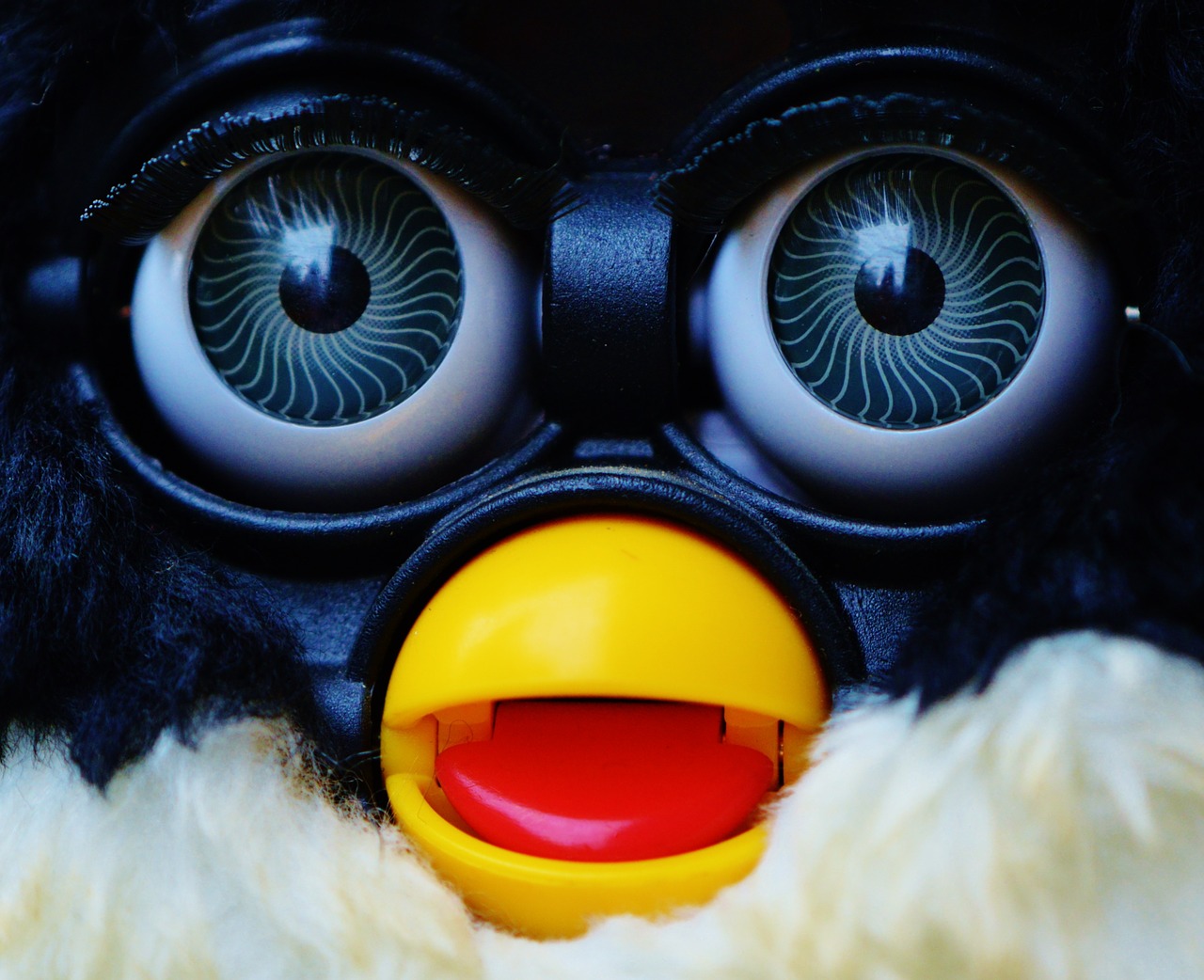 Furby, Mielas, Mėlyna Akis, Minkštas Žaislas, Žaislai, Vaikai, Juokinga, Iškamša, Saldus, Nemokamos Nuotraukos