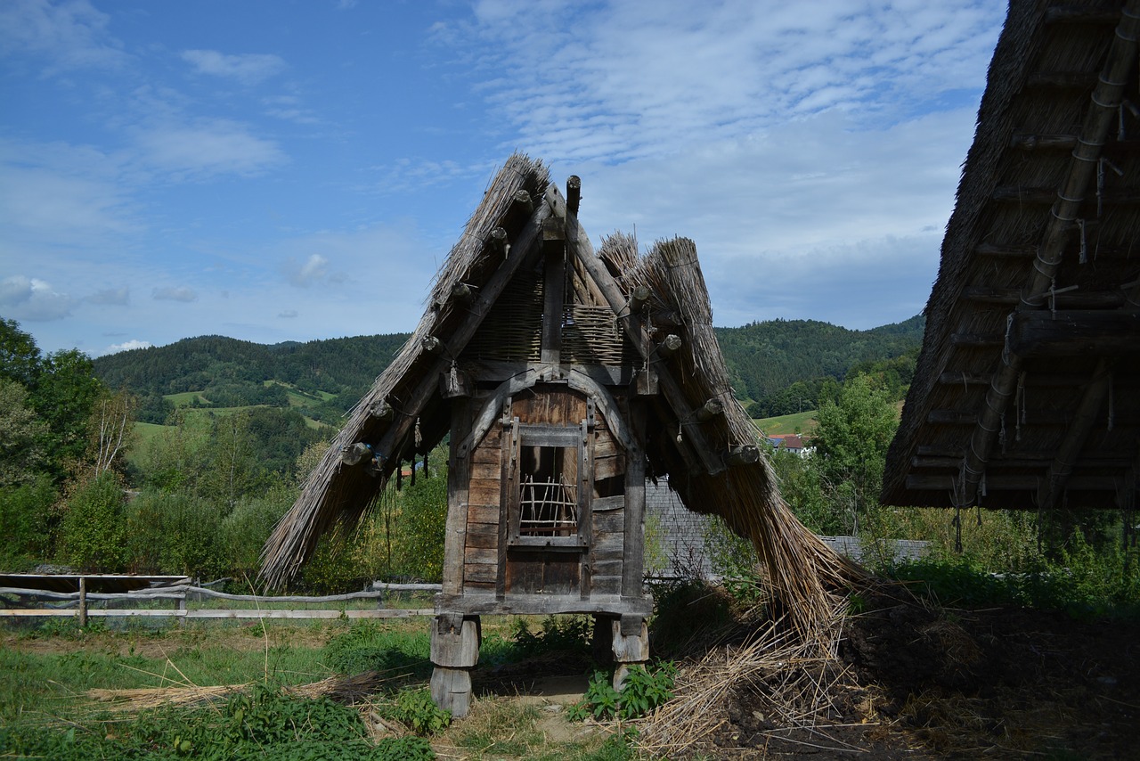 Gabreta, Orkaitė, Keltai, Kelia Kaimą, Bavarijos Miškas, Nemokamos Nuotraukos,  Nemokama Licenzija